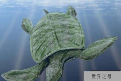 ​世界上最大的海龟：古巨龟