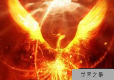 ​世界上最后一只凤凰