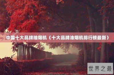 ​中国十大品牌抽烟机（十大品牌油烟机排行榜最新）