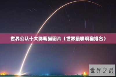 ​世界公认十大聪明猫图片（世界最聪明猫排名）