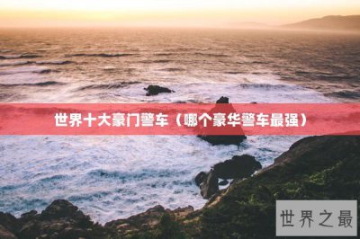 ​世界十大豪门警车（哪个豪华警车最强）