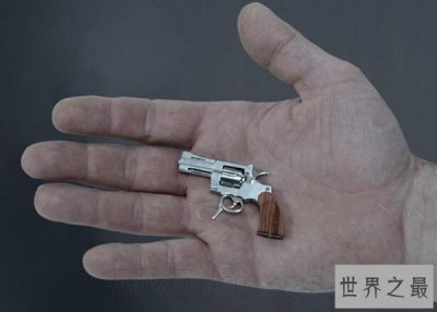 ​世界上最小的手枪，只有5.5厘米长(售价280万)