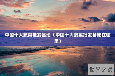​中国十大蔬菜批发基地（中国十大蔬菜批发基地在哪里）