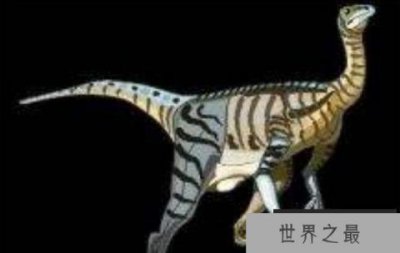 ​体长3米的似提姆龙：大洋洲小型食肉恐龙（出土于澳洲恐龙湾）