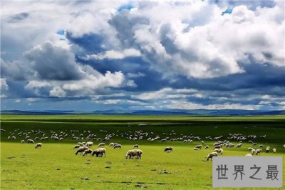 ​中国四大草原，呼伦贝尔大草原的宁静魅力了解一下