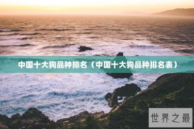​中国十大狗品种排名（中国十大狗品种排名表）