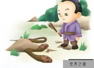 ​为什么会出现双头动物？从进化的角度看，为何双头很罕见？