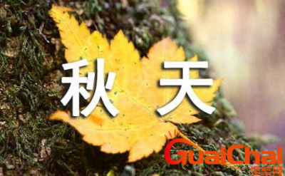 ​我眼中的秋天的作文怎么写？如何写我眼中的秋天？