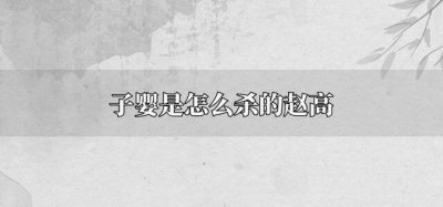 ​子婴是怎么杀的赵高