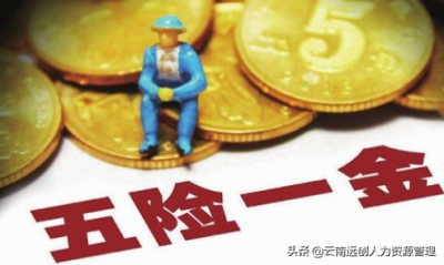 ​五险一金是什么包括哪些（五险一金有哪些险种？哪些要自己交？）
