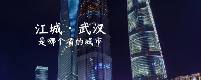 ​武汉属于哪个省（武汉是哪个省的城市，有哪些知名特产，值得打卡的景区有哪些