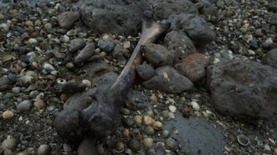 ​死亡岛真的存在吗
