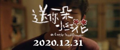 ​《送你一朵小红花》剧情介绍