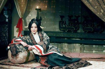 ​历史上的芈八子野史