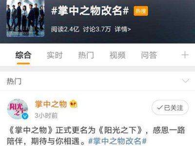 ​《掌中之物》改名《阳光之下》