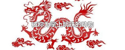 ​被称为掌上明珠的动物 被称为掌上明珠的动物是什么