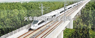 ​火车晚点可以退全票嘛 火车晚点退票全额吗