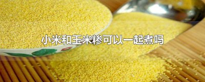 ​小米和玉米糁可以一起煮吗宝宝能吃吗 玉米糁和大米一起煮好吗