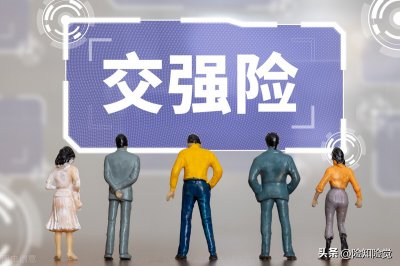 ​汽车保险哪些必须买呢（车辆保险哪些必须买？）