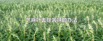 ​怎么去除黑芝麻的苦味 芝麻叶发苦怎么办