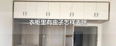 ​怎样去除衣柜里的虫子视频 怎样去除衣柜里的虫子小妙招