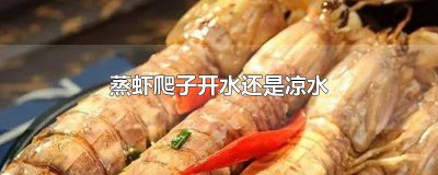 ​蒸虾爬子开水还是凉水好 虾爬子开水蒸还是冷水蒸