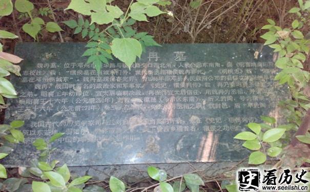 魏冉墓