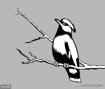 ​短文《小麻雀》答案（短文《小麻雀》答案二年级）