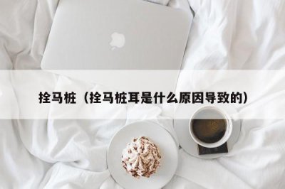 ​拴马桩（拴马桩耳是什么原因导致的）