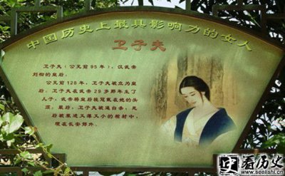 ​刘彻的第二个皇后卫子夫简介