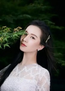 ​刘诗诗白蕾丝裙的春日写真爆出，体态雅致如白天鹅