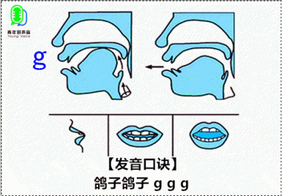 ​g的拼音怎么读（滚的拼音怎么读）