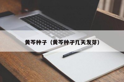 ​黄芩种子（黄芩种子几天发芽）
