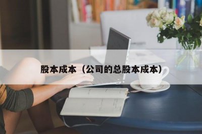 ​股本成本（公司的总股本成本）