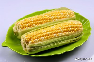 ​玉米煮几分钟熟啊（玉米煮多久会熟，玉米怎么煮最好吃又有营养）