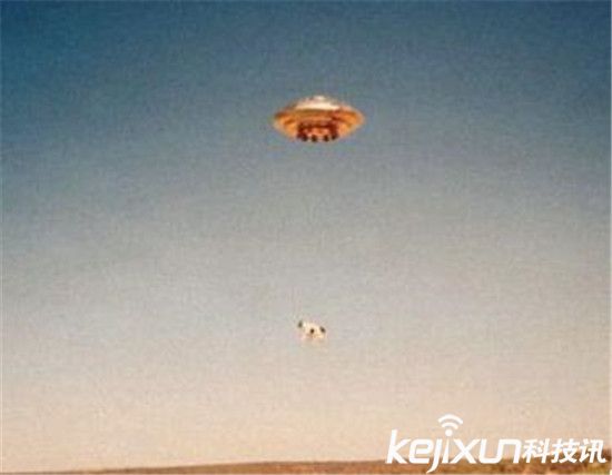 美国屠牛事件幕后黑手竟是外星人？上万头牛被屠杀