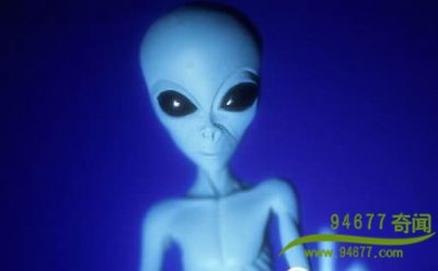 ​美科学家证实太阳系生命轮回 秘鲁沙漠发现3500万年前巨鸟化石