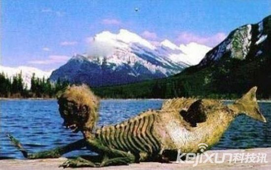 美人鱼