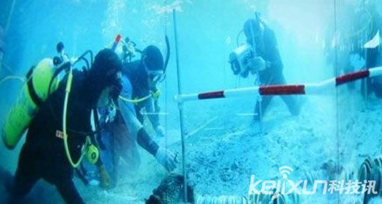 八大20世纪最伟大发现 玛雅象形文字