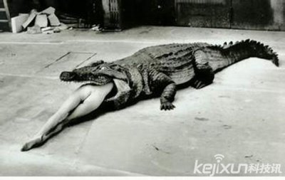 ​古代残忍动物行刑 用蚂蚁吃掉人