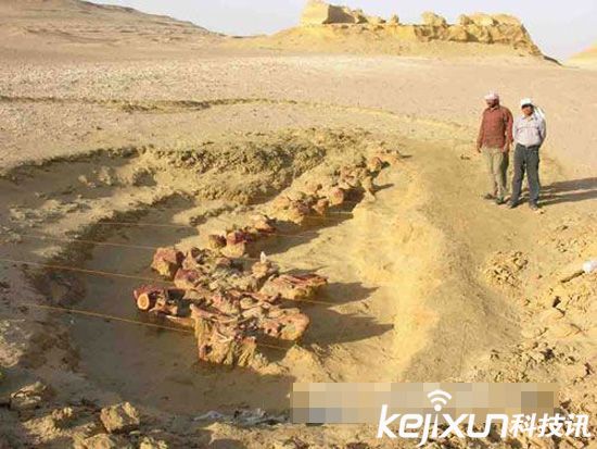 盘点：全球十大著名“挖宝”胜地 美国占一半