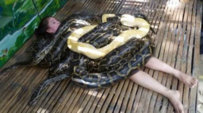 ​十大特别离奇的推拿 蟒蛇神仙掌齐上阵