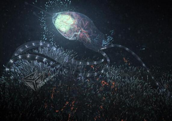 外星生命有几种形态？趋同进化暗示人形生物比较智慧