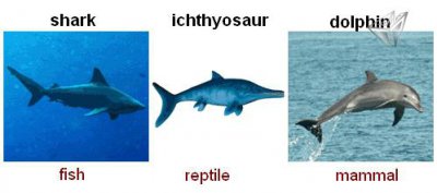 ​外星生物到底长什么样？一副人脸吓死人