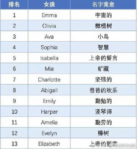 ​英文网名(年度最热门英文名Top50出炉！)