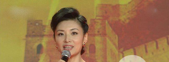 周涛丈夫姚宏的个人简历 周涛和姚宏为什么离婚