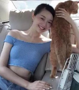 ​晚晚黑历史扒皮天涯刘野老婆真的打过晚晚张辛苑晚晚为什么吵架