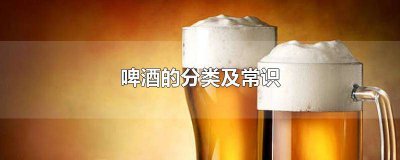 ​啤酒的分类方法有哪些 啤酒的分类及常识图片