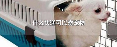 ​宠物什么快递能邮寄 宠物哪个快递可以邮寄
