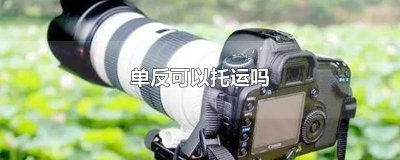 ​单反能不能托运 单反能否托运